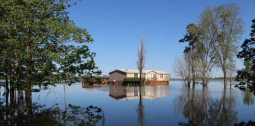 Flooded house and yard.